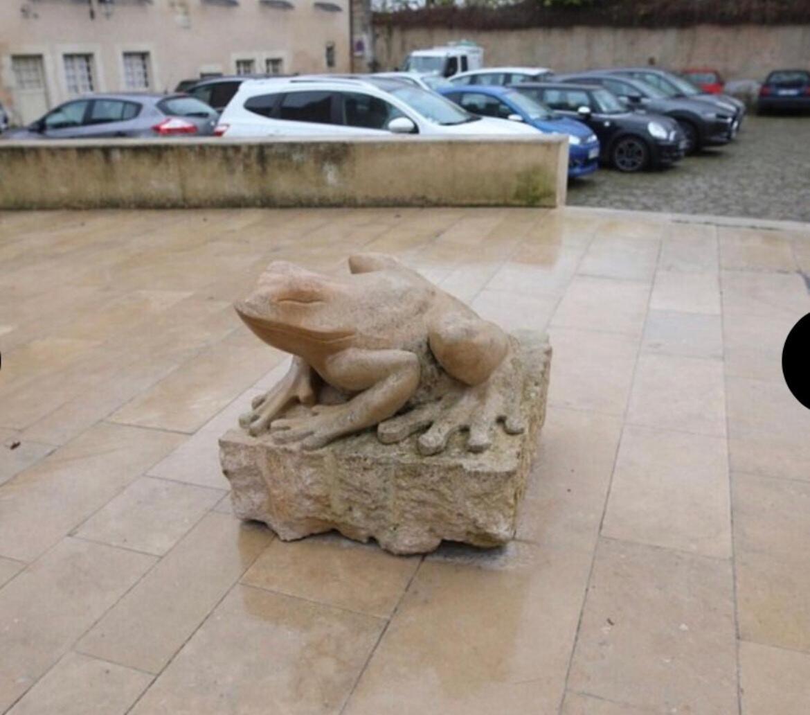 "La Grenouille" Centre Historique - Les Terres Du Roy Villa Avallon Luaran gambar