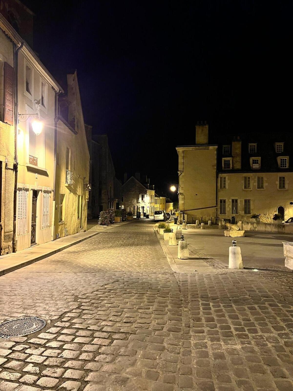 "La Grenouille" Centre Historique - Les Terres Du Roy Villa Avallon Luaran gambar